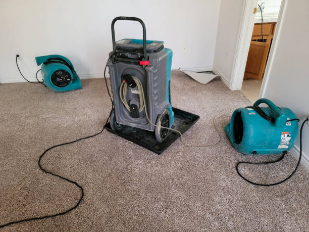 Best Ceiling water damage repair  in Clewiston, FL