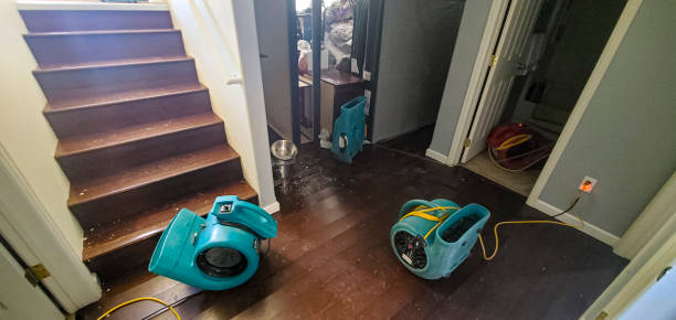 Best Sewage cleanup and water damage restoration  in Clewiston, FL