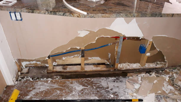 Best Basement water damage restoration  in Clewiston, FL