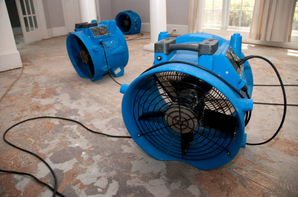 Best Water damage restoration near me  in Clewiston, FL