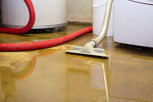 Best Residential water damage restoration  in Clewiston, FL