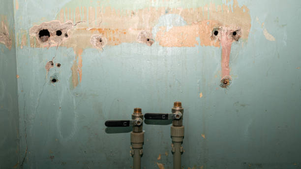 Best Residential water damage restoration  in Clewiston, FL