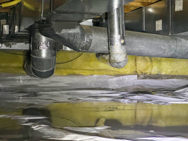 Best Emergency water extraction  in Clewiston, FL