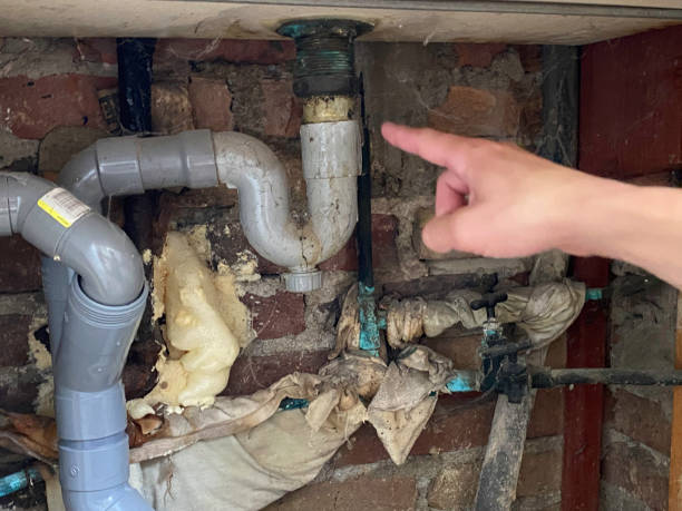  Clewiston, FL Water damage restoration Pros