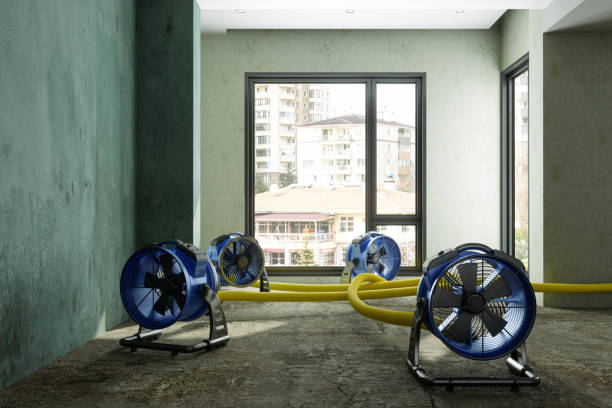 Best Emergency water damage restoration  in Clewiston, FL