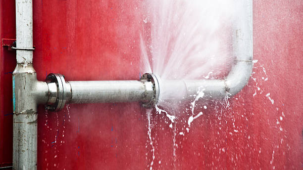 Best Water damage cleanup near me  in Clewiston, FL
